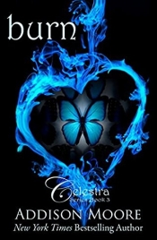Book Cover for Burn