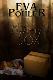 Book Cover for The mystery box Book Cover for The mystery box