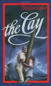 Book Cover for The Cay