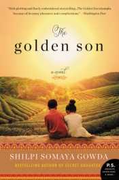 Book Cover for The Golden Son