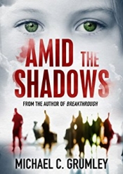 Book Cover for Amid the shadows Book Cover for Amid the shadows