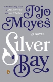Book Cover for Silver Bay Book Cover for Silver Bay