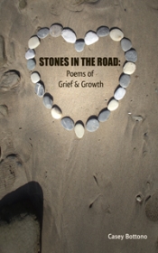 Book Cover for Stones in the Road