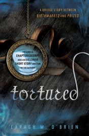 Book Cover for Tortured