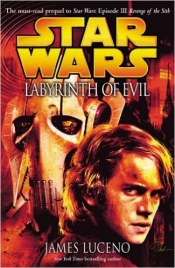 Book Cover for Labyrinth of Evil
