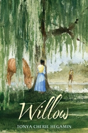 Book Cover for Willow