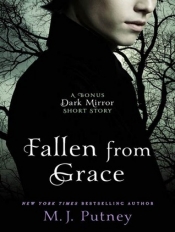Book Cover for Fallen from Grace Book Cover for Fallen from Grace