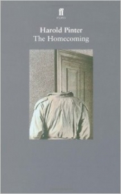 Book Cover for The Homecoming Book Cover for The Homecoming