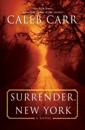Book Cover for Surrender, New York Book Cover for Surrender, New York
