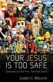 Book Cover for Your Jesus is too safe Book Cover for Your Jesus is too safe