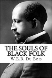 Book Cover for The Souls of Black Folk