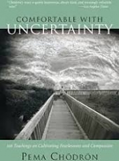 Book Cover for Comfortable with Uncertainty