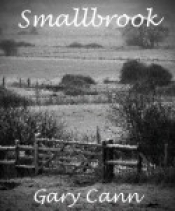 Cover for Smallbrook