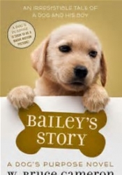 Book Cover for Bailey's Story