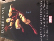 Book Cover for Daredevil Book Cover for Daredevil