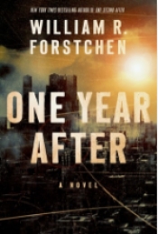 Book Cover for One Year After