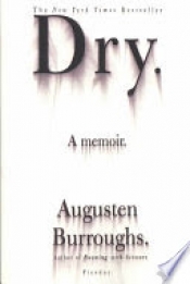 Book Cover for Dry
