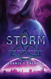 Book Cover for Storm (Stone Braide Chronicles #3)