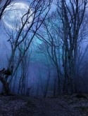 Widow Falls