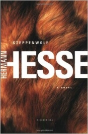 Book Cover for Steppenwolf Book Cover for Steppenwolf