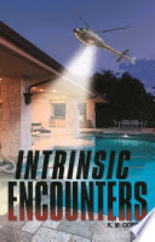 Book Cover for Intrinsic Encounters Book Cover for Intrinsic Encounters