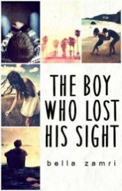 Book Cover for The boy who lost his sight