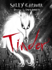 Book Cover for Tinder Book Cover for Tinder