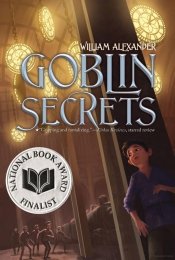 Book Cover for Goblin Secrets