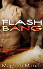 Book Cover for Flash Bang Book Cover for Flash Bang
