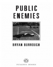 Book Cover for Public Enemies Book Cover for Public Enemies