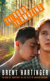 Book Cover for The Road to Amazing Book Cover for The Road to Amazing