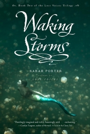 Book Cover for Waking Storms
