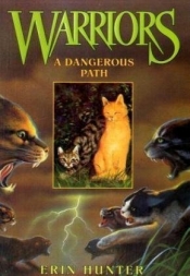 Book Cover for A Dangerous Path
