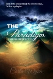 Book Cover for The Paradigm Success Codes For Life Book Cover for The Paradigm Success Codes For Life