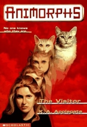 Book Cover for The Visitor