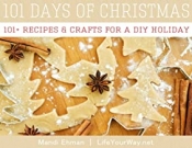 Book Cover for 101 Days of Christmas Book Cover for 101 Days of Christmas