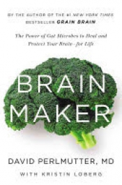 Book Cover for Brain Maker