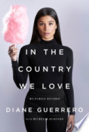 Book Cover for In the Country We Love