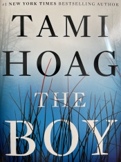 Book Cover for The Boy