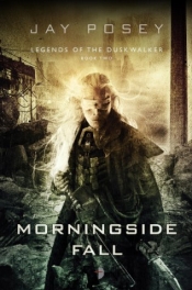 Book Cover for Morningside Fall Book Cover for Morningside Fall