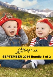 Book Cover for Love Inspired September 2014 - Bundle 1 of 2