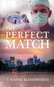 Book Cover for The Perfect Match