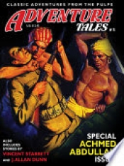 Book Cover for Adventure Tales #5