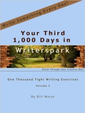 Book Cover for Your Third 1,000 Days in Writerspark Book Cover for Your Third 1,000 Days in Writerspark