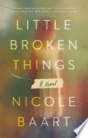 Book Cover for Little Broken Things
