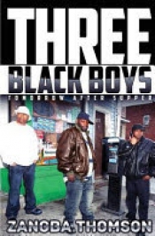 Book Cover for Three Black Boys Book Cover for Three Black Boys