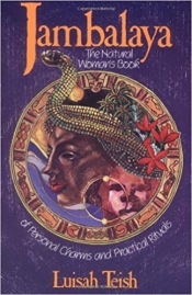 Book Cover for Jambalaya