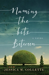 Book Cover for Naming The Bits Between Book Cover for Naming The Bits Between