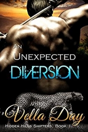 Book Cover for An Unexpected Diversion Book Cover for An Unexpected Diversion