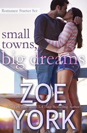 Book Cover for Small Towns, Big Dreams Book Cover for Small Towns, Big Dreams